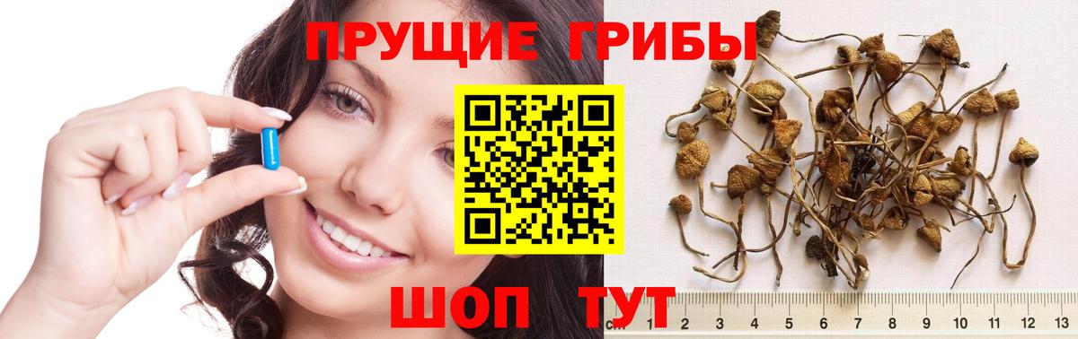 цена наркотик  Галлюциногенные грибы Psilocybe  Галлюциногенные грибы мухоморы  Вход с VPN  Новочебоксарск 
